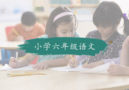 杭州小学辅导小学六年级语文培训