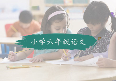 杭州小学六年级语文培训