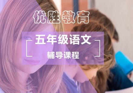 北京小学五年级语文辅导课程