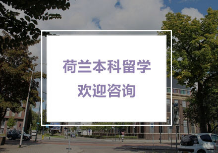 杭州荷兰本科留学