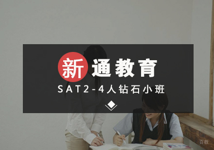 武汉SAT2-4人钻石小班