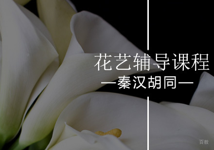 北京花艺辅导课程