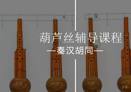 北京葫芦丝辅导课程