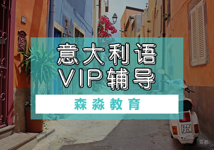 天津意大利语VIP辅导课程