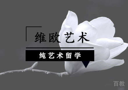 武汉纯艺术留学