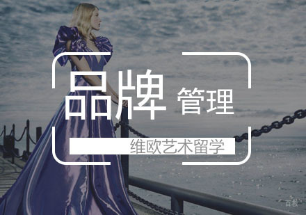 武汉维欧艺术留学_武汉品牌管理留学