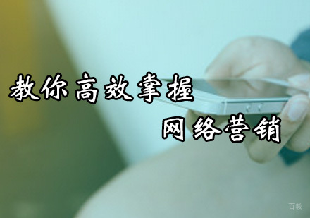 教你高效掌握网络营销