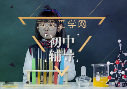 初中一对一辅导适合哪些学生？