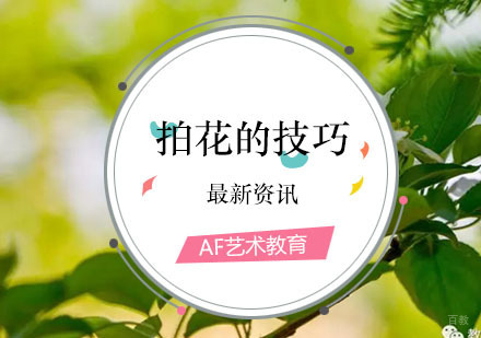 干货——拍花的技巧全都在这里