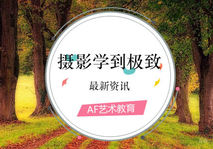 怎么可以把摄影学到！