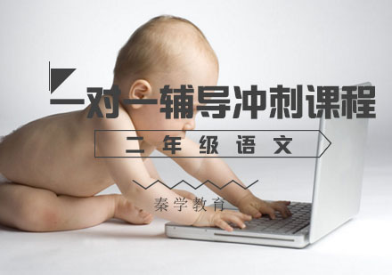 二年级语文一对一辅导冲刺课程