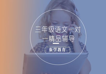 三年级语文一对一精品辅导