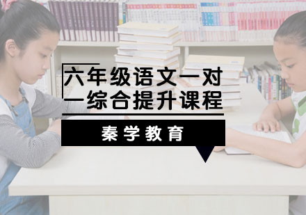 六年级语文一对一综合提升课程
