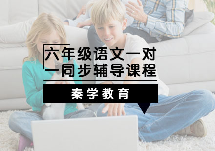 六年级语文一对一同步辅导课程