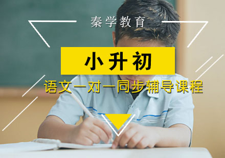小学升学语文一对一同步辅导课程