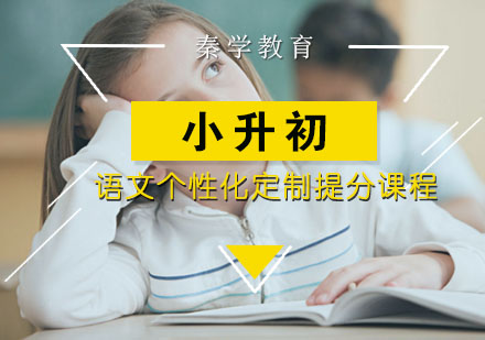 小学升学语文个性化定制提分课程