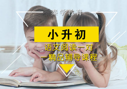 小升初语文阅读一对一精品辅导课程
