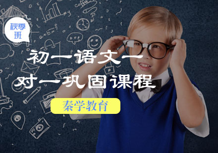 初一一对一语文秋季巩固在线课程