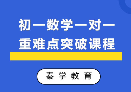 初一数学一对一重难点突破课程