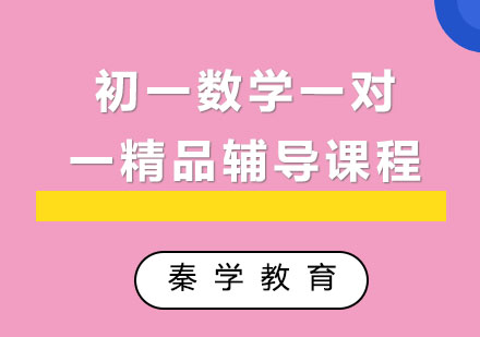 初一数学一对一精品辅导课程