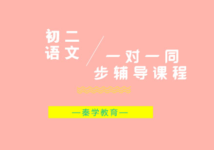 初二语文一对一同步辅导课程
