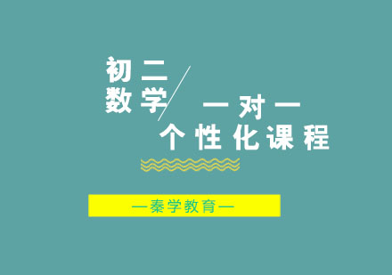 初二数学一对一个性化课程