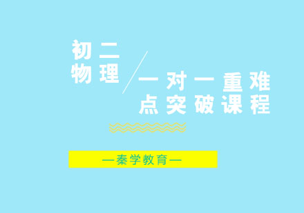 初二物理一对一重难点突破课程
