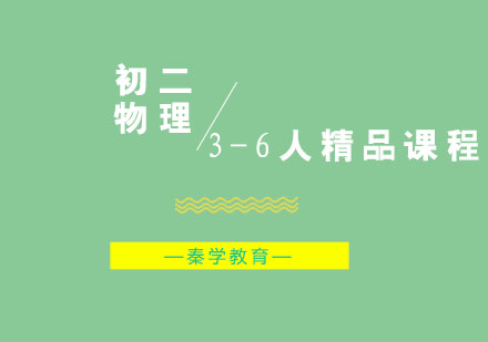 初二物理3-6人精品课程