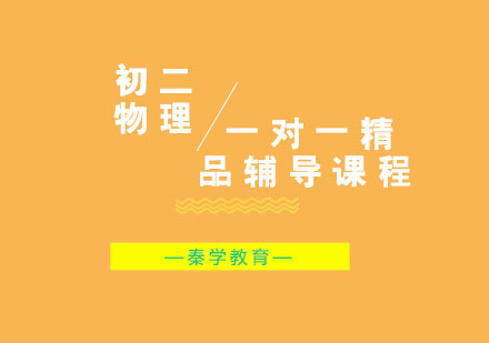 初二物理一对一精品辅导课程