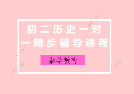 初二历史一对一同步辅导课程