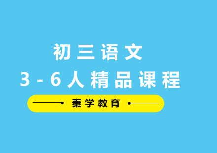 初三语文3-6人精品课程