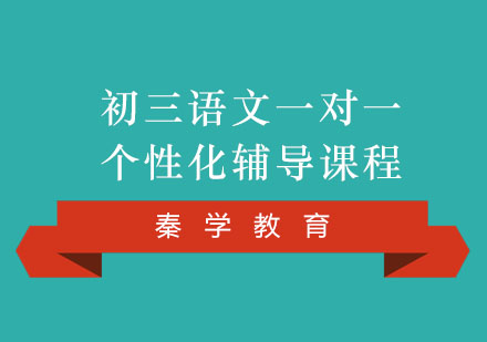 初三语文一对一个性化辅导课程