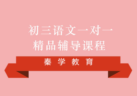 初三语文一对一精品辅导课程