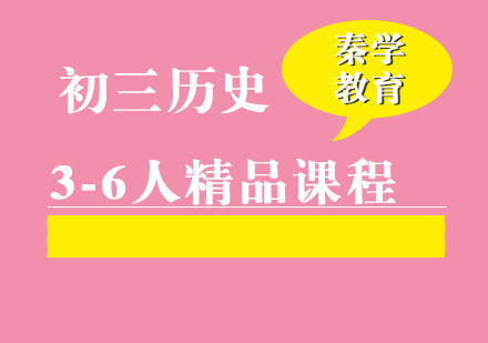 初三历史3-6人精品课程