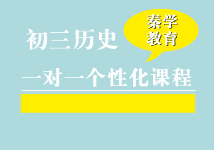 初三历史一对一个性化辅导课程