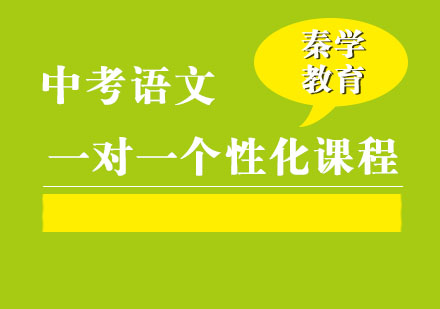 中考语文一对一个性化辅导课程