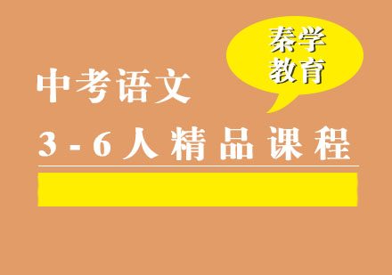 中考语文3-6人精品课程