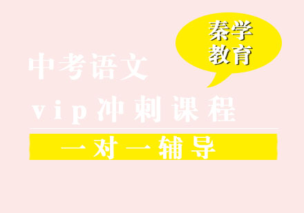 中考语文一对一vip辅导冲刺课程