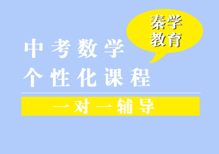 中考数学一对一个性化辅导课程