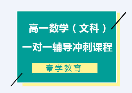 高一数学（文科）一对一辅导冲刺课程