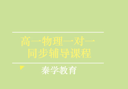 高一物理一对一同步辅导课程