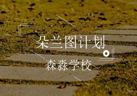 朵兰图计划_祝你登顶世界艺术殿堂_重庆森淼学校