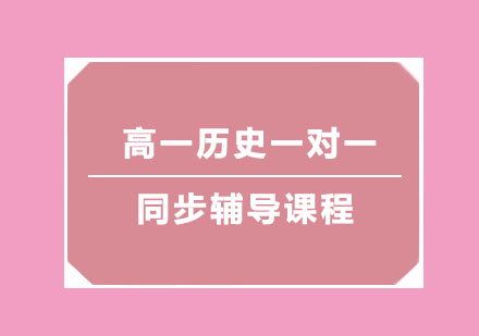 高一历史一对一同步辅导课程