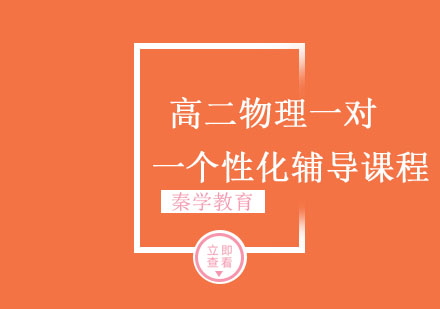 高二物理一对一个性化辅导课程