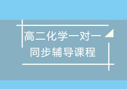高二化学一对一同步辅导课程
