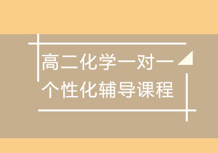 高二化学一对一个性化辅导课程