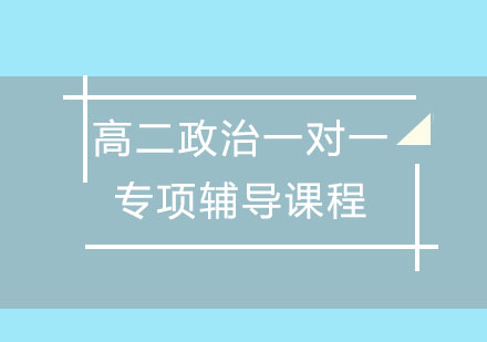 高二政治一对一专项辅导课程