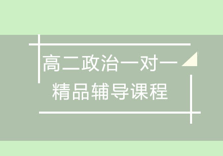 高二政治一对一精品辅导课程