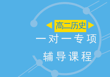 高二历史一对一专项辅导课程