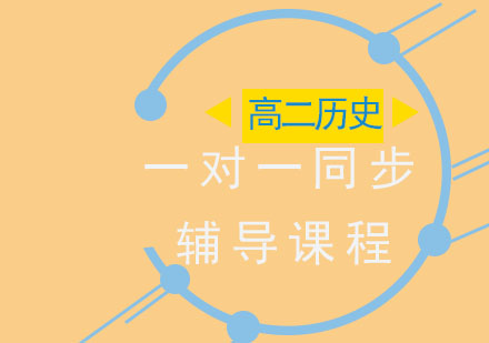 高二历史一对一同步辅导课程
